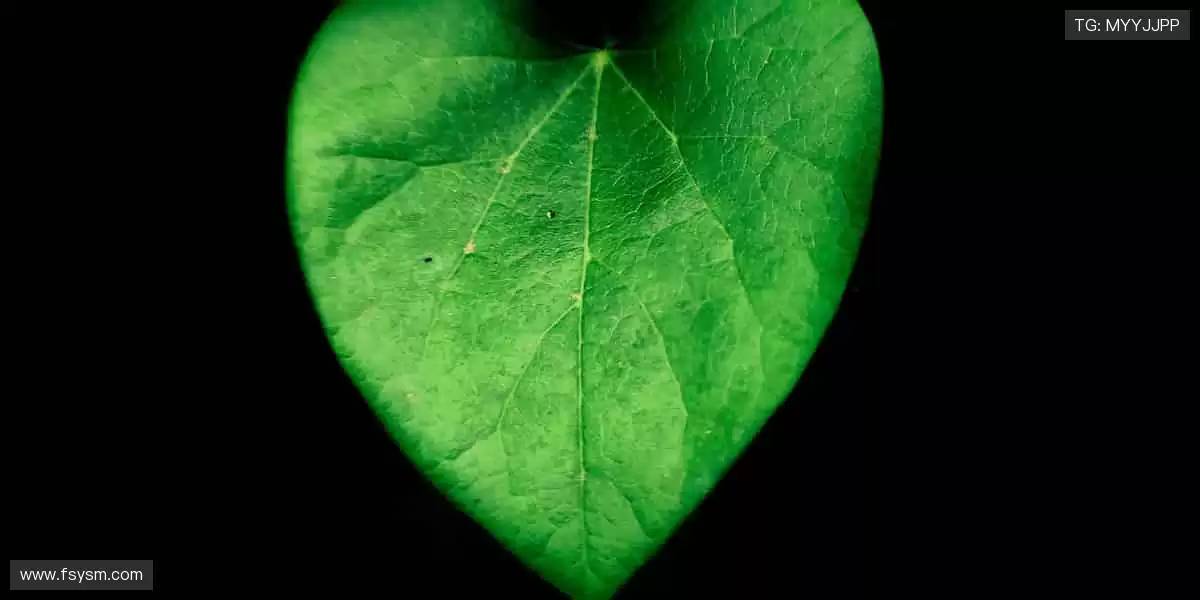 热血集结,见证荣耀时刻!🔥